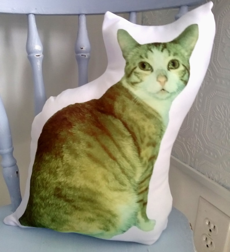 Huggable Custom Cat Photo Pillow Special Cat Lover Gift Cat Etsy