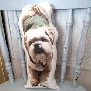 Pu&ograve; includere: Un cuscino bianco con un cane marrone e bianco che indossa una giacca verde stampata su di esso. Il cuscino &egrave; seduto su una sedia blu chiaro.