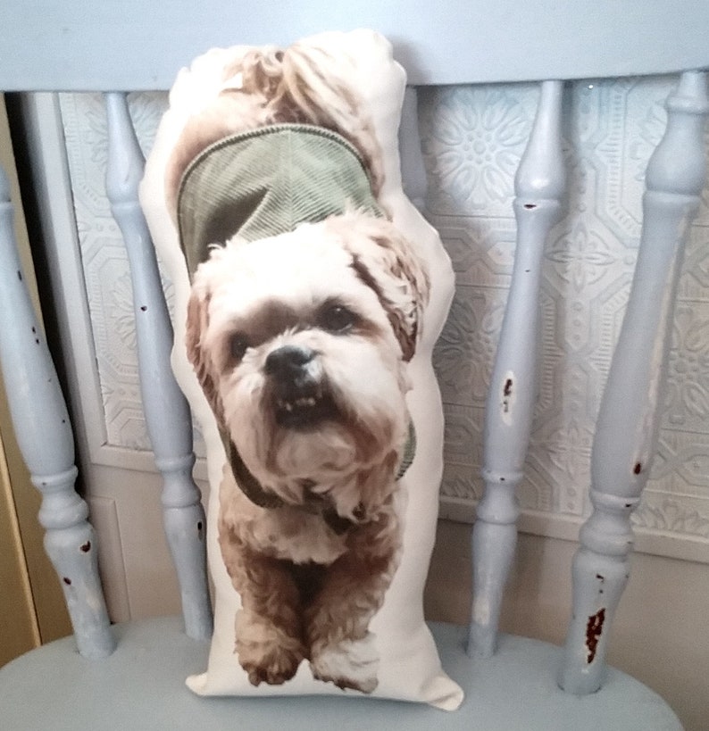 Pu&ograve; includere: Un cuscino bianco con un cane marrone e bianco che indossa una giacca verde stampata su di esso. Il cuscino &egrave; seduto su una sedia blu chiaro.