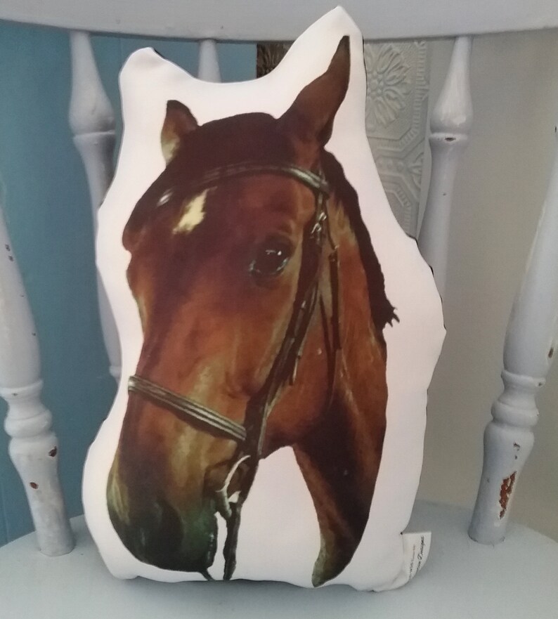 Pu&ograve; includere: Un cuscino bianco con la testa di un cavallo marrone stampata su di esso. Il cavallo indossa una briglia e ha una stella bianca sulla fronte.