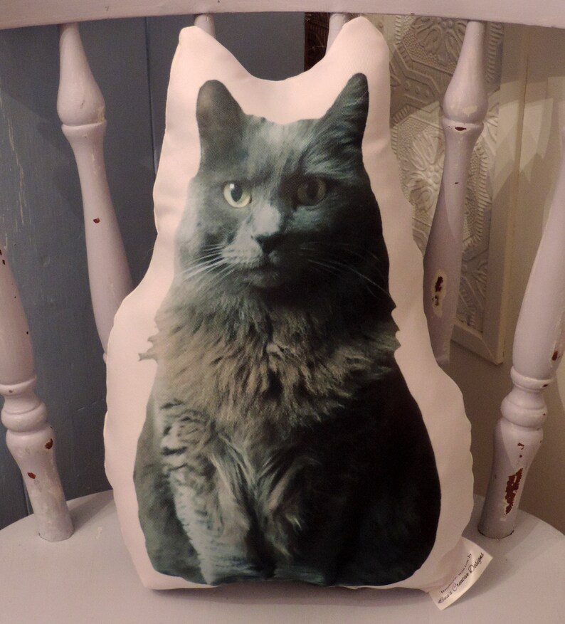 Huggable Custom Cat Photo Pillow Special Cat Lover Gift Cat Etsy