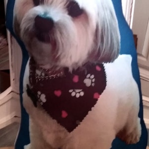 Pu&ograve; includere: Un cane bianco e marrone con una bandana nera con impronte di zampe rosa e cuori su un cuscino blu.