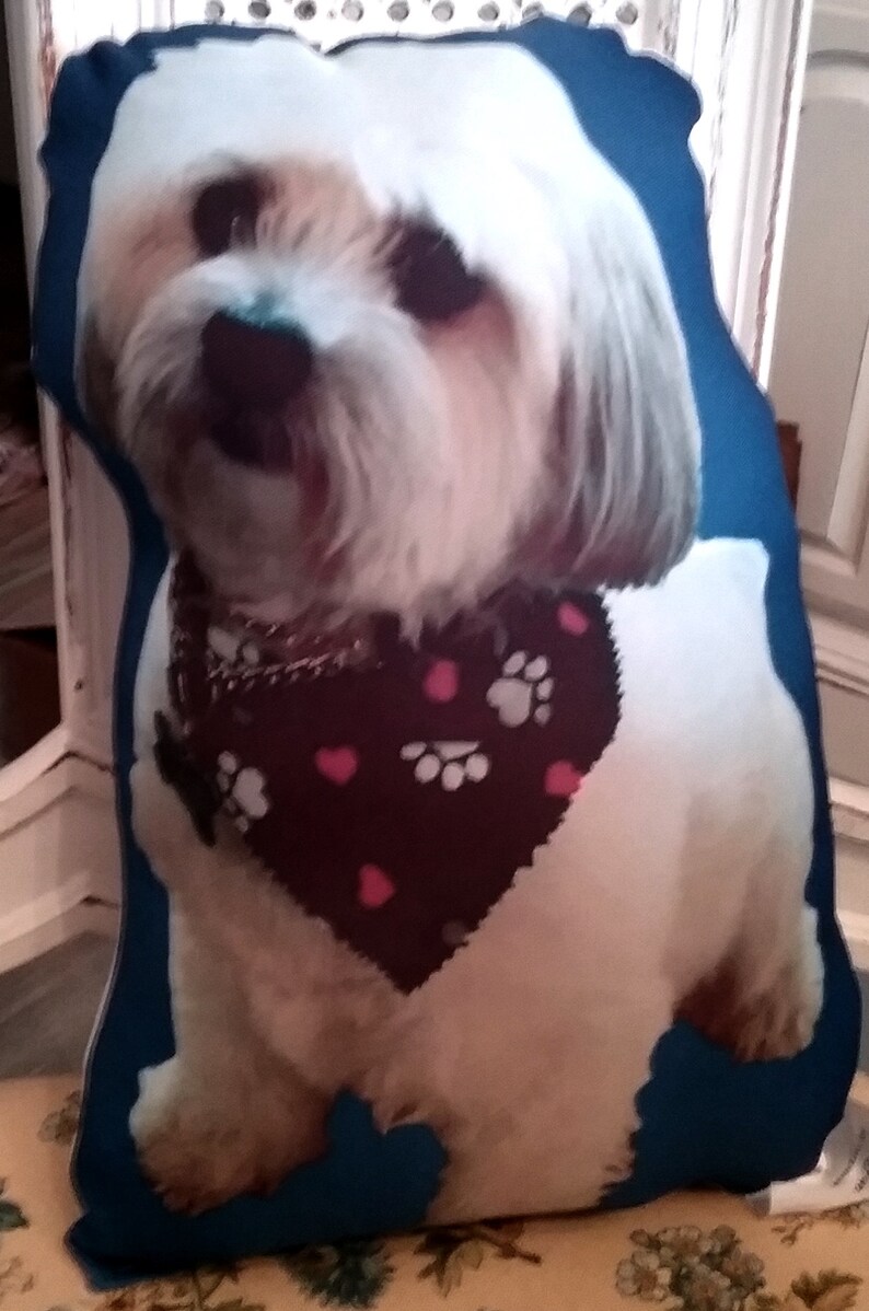 Pu&ograve; includere: Un cane bianco e marrone con una bandana nera con impronte di zampe rosa e cuori su un cuscino blu.