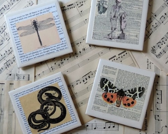 Halloween Coaster Set, Spooky Typography Nature Inspired Ceramic Tile Coaster Set, Creepy Decor,