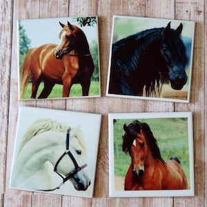 Ceramic Horse Coasters, Beautiful Horse Photo Coaster Set, Custom Tiles