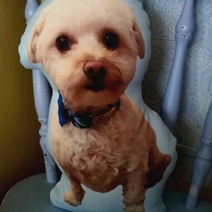 Pu&ograve; includere: Un cuscino a forma di cane bianco e marrone con un papillon blu. Il cuscino &egrave; seduto su una sedia blu.