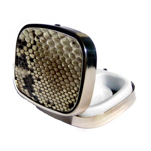 Natural Snakeskin Pillbox by UNEARTHED image 2