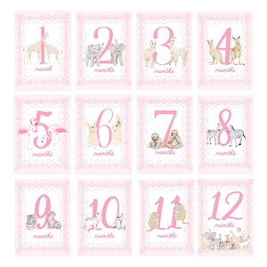 Tarjetas de hitos digitales - Tema de animales del zoológico - Rosa o azul, animales de acuarela