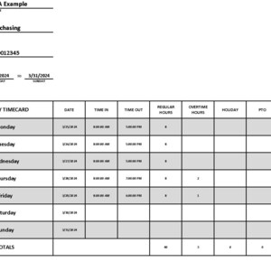 May include: A weekly timecard form with the employee name John A Example, department Purchasing, employee number 100012345, and the week of 3/25/2024 to 3/31/2024. The form has columns for date, time in, time out, regular hours, overtime hours, holiday, PTO, and total hours.