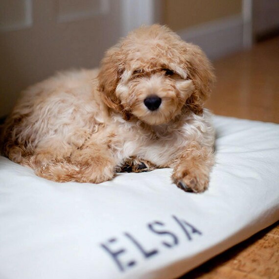 As seen on HGTV Dog Bed Cover Custom Personalized Pet Bed