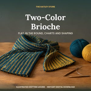 Two Color Brioche Knitting Guide, Flat and Round, Charts, Increases, Decreases, Chevron Motif, PDF