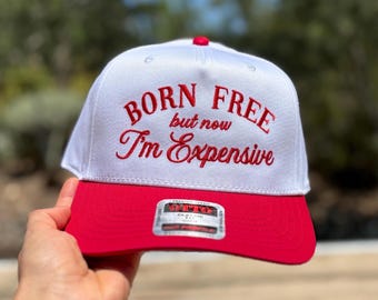 Witzige 4th of Jul Snapback Hat: Bestickte Vatertsche Snapback Cap
