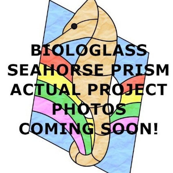 Seahorse Prism Stained Glass Pattern - Digital Download - Commercial License