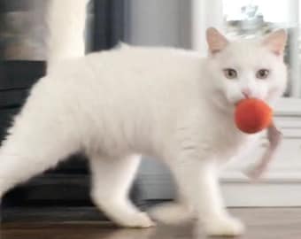Wool Cat Toy / Felt Ball / Wool Cat Toy / Ball Cat Toy / Felted Ball Cat / Orange Cat Toy / Modern Cat Toy / Cat Play