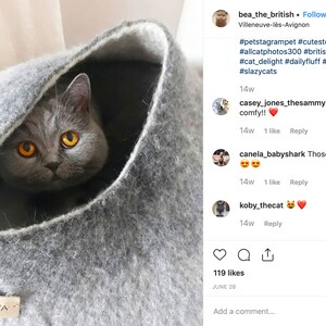May include: A gray cat with bright orange eyes peeks out of a gray felt cat bed. The bed is shaped like a dome and has a white lining. The cat is looking directly at the camera.