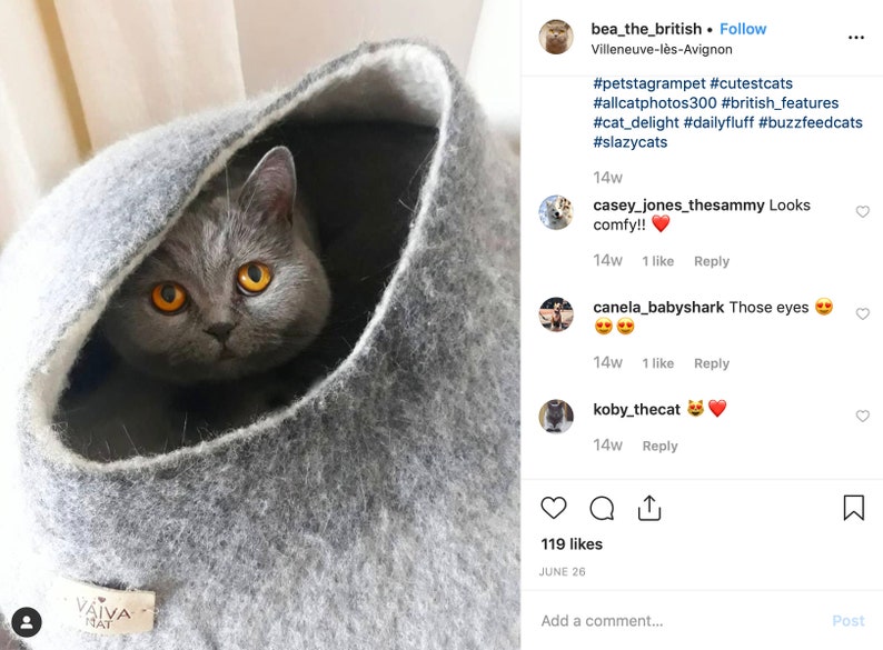 May include: A gray cat with bright orange eyes peeks out of a gray felt cat bed. The bed is shaped like a dome and has a white lining. The cat is looking directly at the camera.