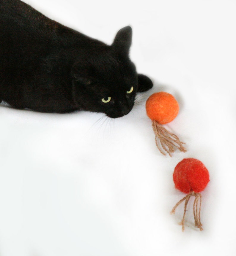 May include: A black cat looking at three orange and red felt balls with strings attached. The balls are on a white surface.