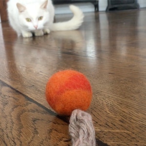 Cat Toy, Chase toy, Felt Ball, Wool Cat Toy, Ball Cat Toy, Felted Ball Cat, Orange Cat Toy, Modern Cat Toy, Cat Play