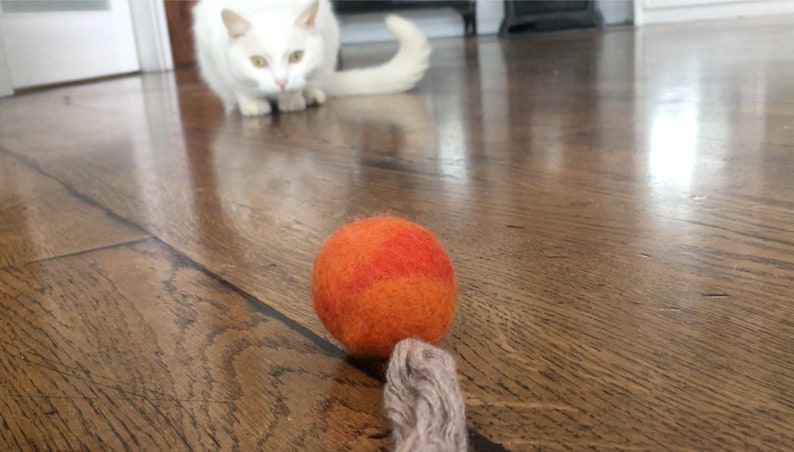 May include: A close-up of a bright orange and red felt ball toy for cats. The ball is on a wooden floor.