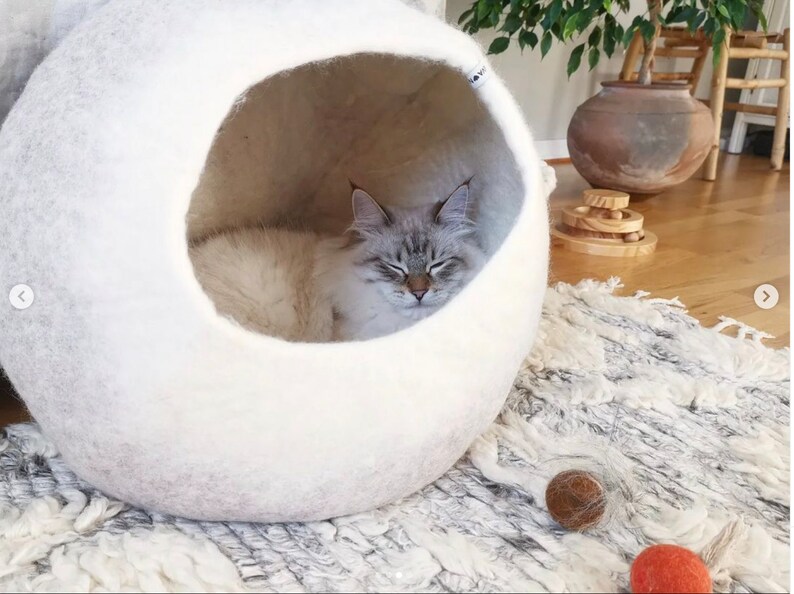 May include: A white felt cat bed shaped like a sphere with a cat sleeping inside. The cat is white and gray with its eyes closed.