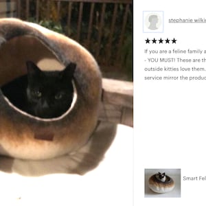 May include: A black cat resting inside a brown and white felt cat bed. The bed is shaped like a cave and has a soft, plush interior. The cat is looking out of the bed with its eyes open.