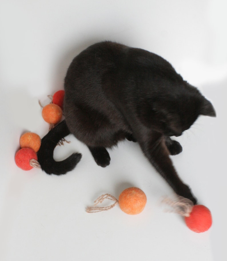 Cat Toy Chase Toy Felt Ball Wool Cat Toy Ball Cat Toy Etsy Israel