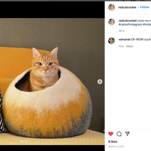 May include: A ginger cat sits inside a round, yellow and white felt cat bed. The bed is on a couch with a black and white patterned pillow.