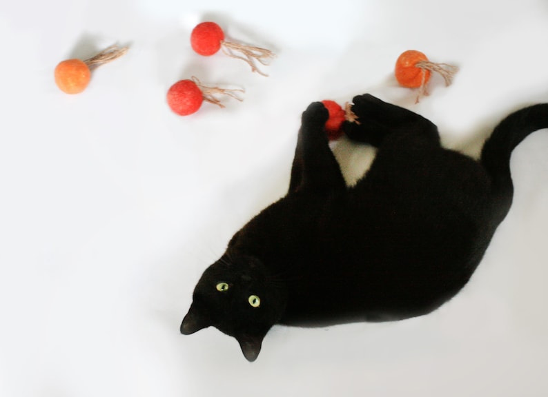 May include: A black cat playing with a red and orange yarn ball toy on a white background.