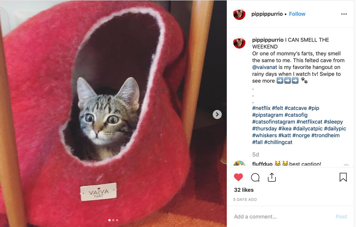 Warme Orange rot Filz Katzenhöhle Katze Cocoon Wolle | Etsy