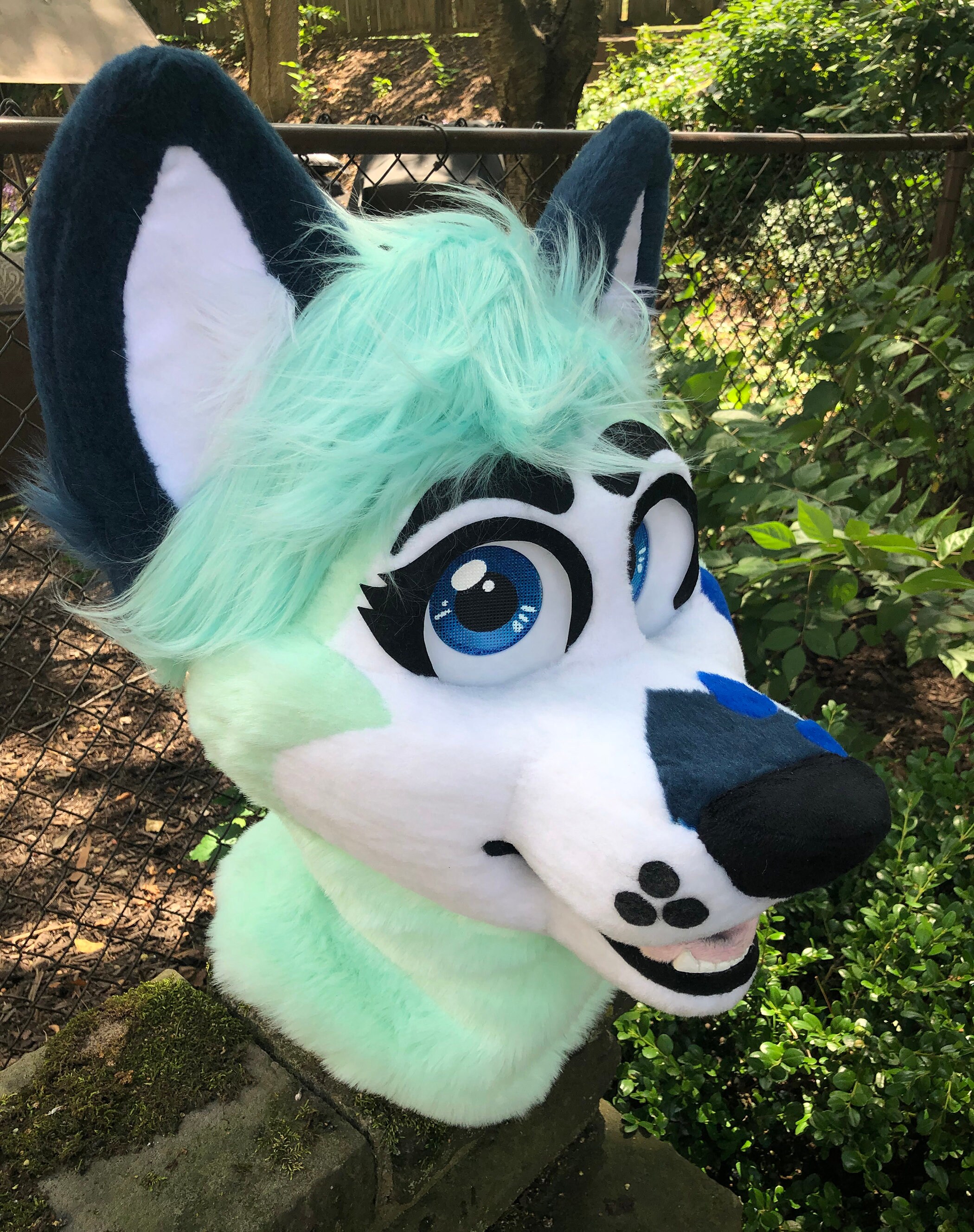 Immer Wolke Assimilation cute husky fursuit Prüfung Wahrscheinlich andere