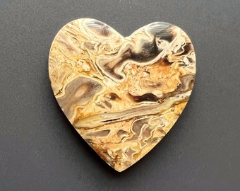 Heart Shaped Petrified Palm Root Cabochon