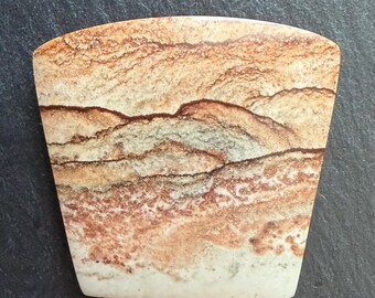 Chicken Track Picture Jasper Freeform Cabochon