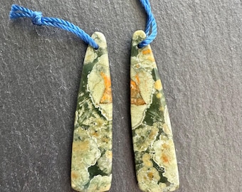 Stunning Pair of Rainforest Jasper Earring Beads
