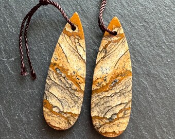 Wonderful Pair of  Top-Drilled Picture Jasper Earring Beads