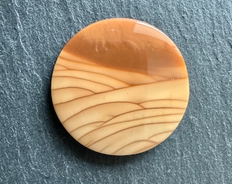 Beautiful Scenic Round Bruneau Jasper Cabochon