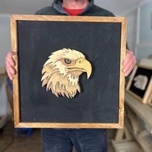 Puede incluir: Una escultura de cabeza de águila de madera en un marco marrón. El águila está tallada en estilo 3D y tiene un acabado de madera natural.