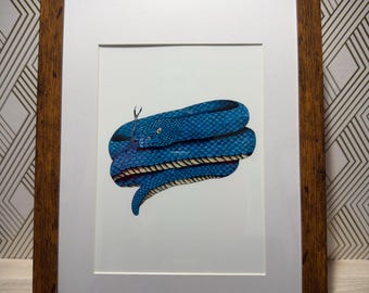 Boa Constrictor Drawing Print: Vibrant Blue/Green Colored Pencil Art
