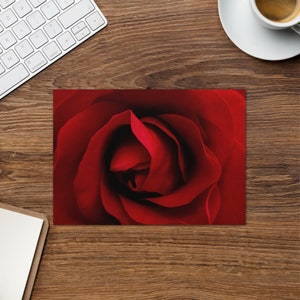 Tarjeta de felicitación con rosa roja vibrante: fotografía macro nítida, perfecta para amantes de la naturaleza, ocasiones románticas, aniversarios, regalo de San Valentín