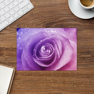 Grußkarte mit rosa Rose - lebhafte Makroaufnahme mit violetten Schattierungen - Von der Natur inspirierte Kunst - Ein perfektes Geschenk für Blumenliebhaber
