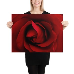 Beautiful Red Rose Fine Art Poster For Nature Lovers, Home Décor, Valentine&#39;s Day, Anniversaries & Romantic Gifts - Colorful Home Wall Art