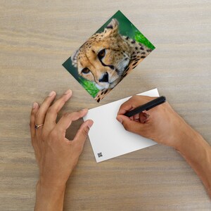 Carte postale vibrante de portrait de guépard - Cadeau parfait pour les amateurs de nature, d'animaux sauvages et de voyages - Couleurs renversantes, détaillées et réalistes