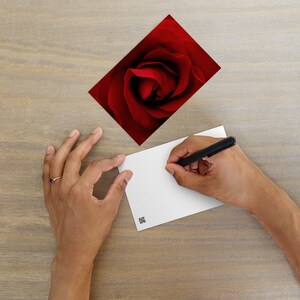 Carte postale élégante avec une rose rouge - Superbes photographies florales - Idéale pour les messages romantiques et les amateurs d'art - Impression d'art vive de haute qualité