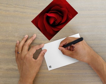 Standard Postcard - A Red Rose