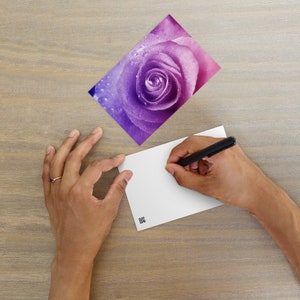 Schöne rosa Rose Standard-Postkarte - Lebhafte Makrofotografie mit violetten Anmutungen, perfekt für Natur- und Blumenliebhaber - Rahmenbares Kunstwerk