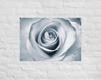 Elegant White Rose Macro Photograph On Fine Art Poster Print - Perfect Home And Office Wall Decor Gift For Art, Flower & Photography Lovers