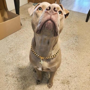 Collar de perro de oro con eslabones cubanos, collar de cadena con letra inicial personalizada para un elegante accesorio para mascotas, collar de joyería para perros, regalo de lujo para amantes de los perros