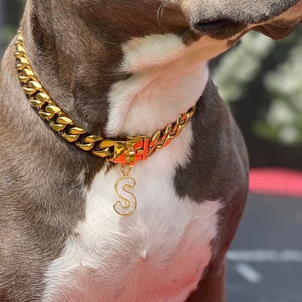 Gold Dog Chain Collar,Handmade dog collar,Cuban Link Dog Chain,Pet Collar Chain,Custom Metal Letters,Jewelry for pet,Dog gift