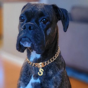 Cuban Gold Dog Chain,Custom Initial Dog Collar Chain,Dog Chain Necklace,Personalized Dog Chain,Jewellry for Dog,Handmade dog collar