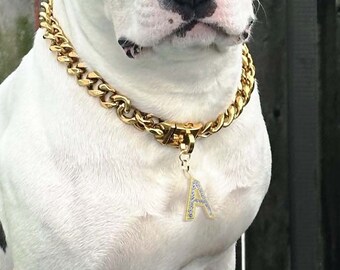 Cuban gold dog chain, pet jewelry, gold dog collar, custom dog collar gift, dog jewelry, personalized dog collar chain