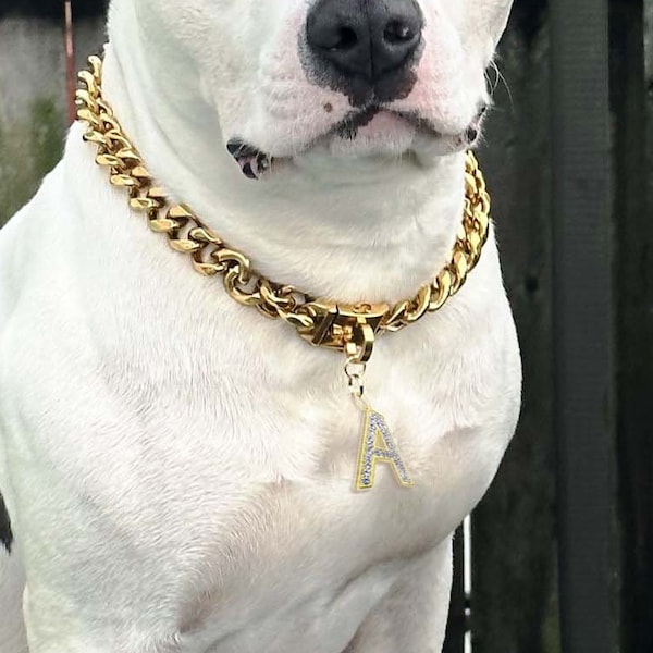 Cuban gold dog chain, pet jewelry, gold dog collar, custom dog collar gift, dog jewelry, personalized dog collar chain